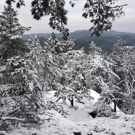 Roubenka U Huvaru Tachov  Екстериор снимка