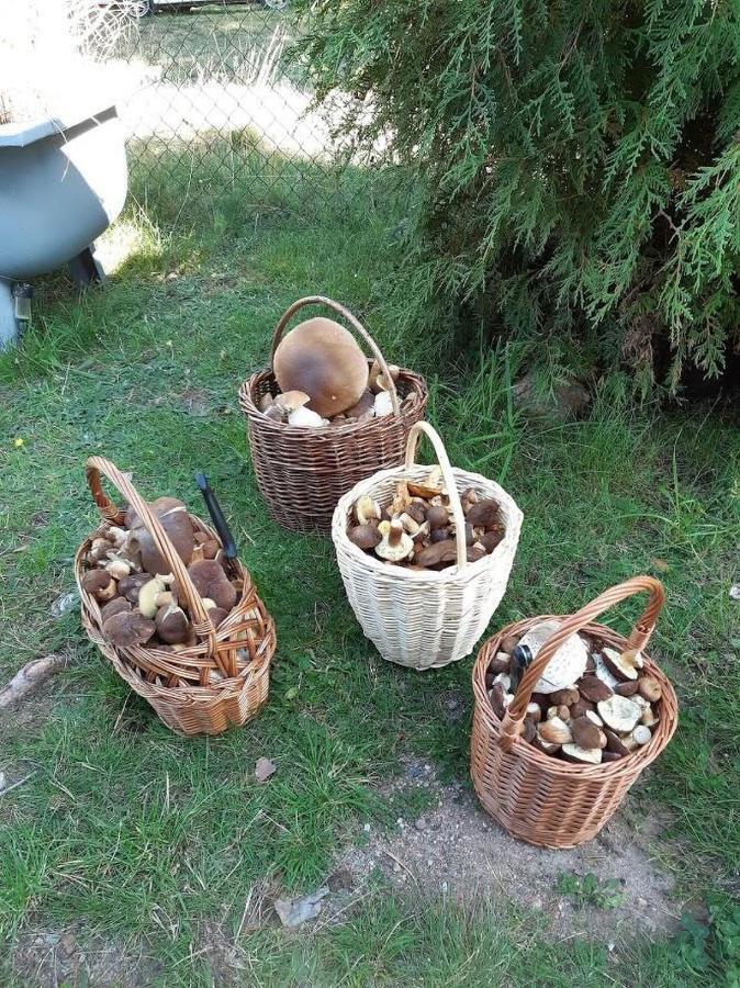 Roubenka U Huvaru Tachov  Екстериор снимка